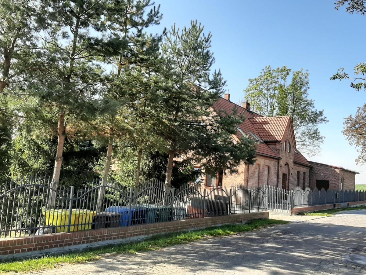 Noclegi Zdzislaw Sieradzki Zbiczno Exterior photo