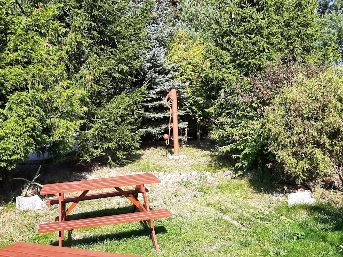 Noclegi Zdzislaw Sieradzki Zbiczno Exterior photo