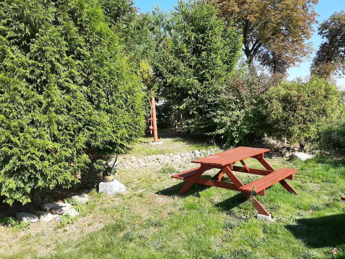 Noclegi Zdzislaw Sieradzki Zbiczno Exterior photo